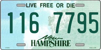 NH license plate 1167795