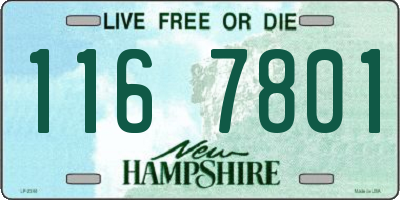 NH license plate 1167801