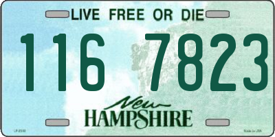 NH license plate 1167823