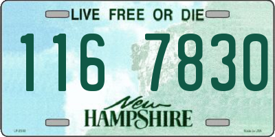 NH license plate 1167830