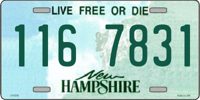 NH license plate 1167831