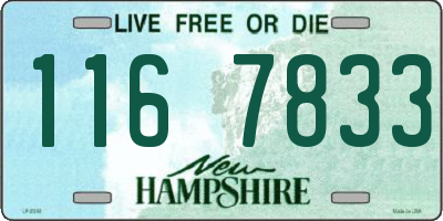 NH license plate 1167833