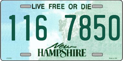 NH license plate 1167850
