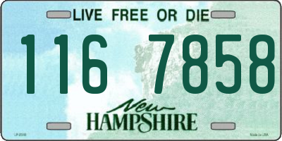 NH license plate 1167858