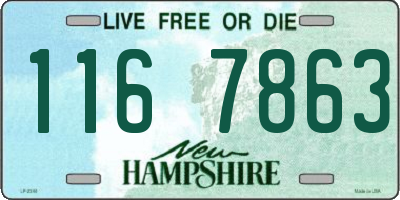 NH license plate 1167863