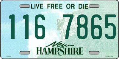 NH license plate 1167865