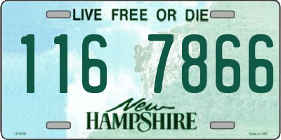 NH license plate 1167866