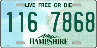 NH license plate 1167868