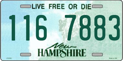 NH license plate 1167883