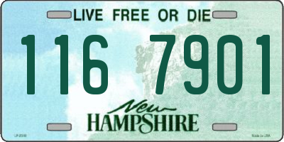 NH license plate 1167901