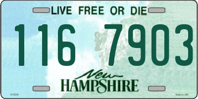 NH license plate 1167903