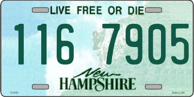 NH license plate 1167905