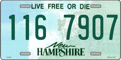 NH license plate 1167907