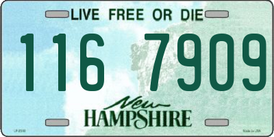 NH license plate 1167909