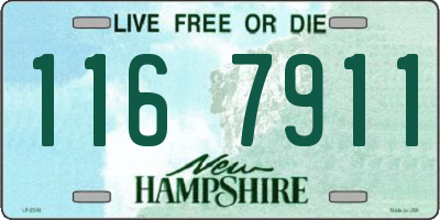 NH license plate 1167911