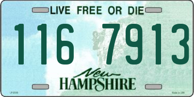 NH license plate 1167913