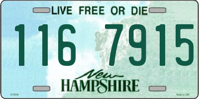NH license plate 1167915