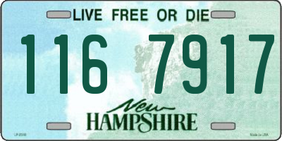NH license plate 1167917