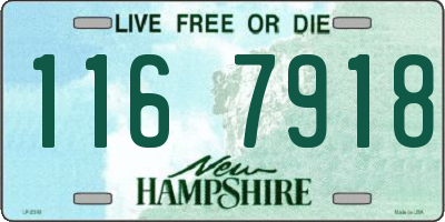 NH license plate 1167918