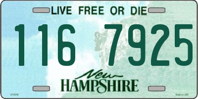NH license plate 1167925