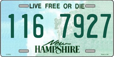 NH license plate 1167927