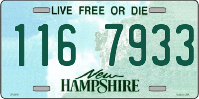 NH license plate 1167933