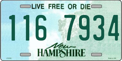 NH license plate 1167934