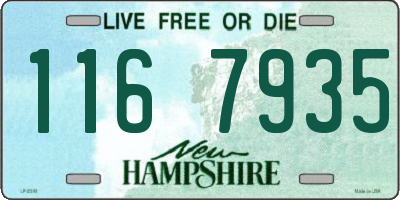 NH license plate 1167935