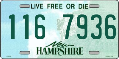 NH license plate 1167936