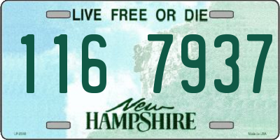 NH license plate 1167937