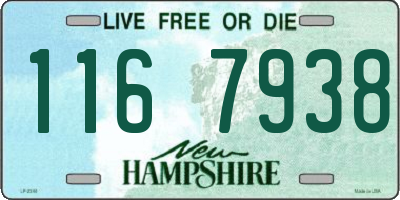 NH license plate 1167938
