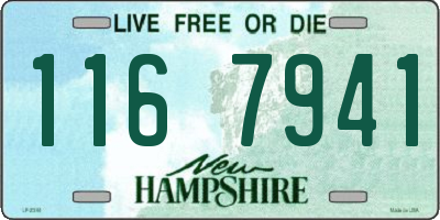 NH license plate 1167941