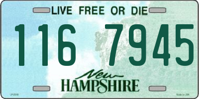 NH license plate 1167945