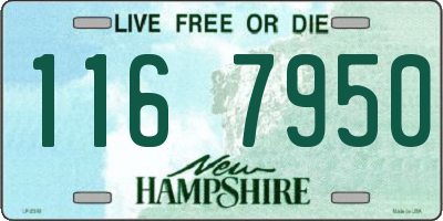 NH license plate 1167950