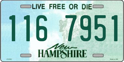 NH license plate 1167951
