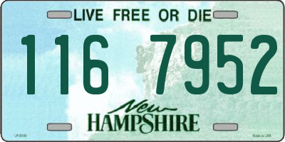 NH license plate 1167952