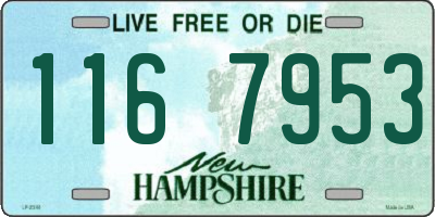 NH license plate 1167953
