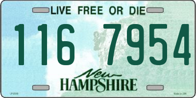 NH license plate 1167954