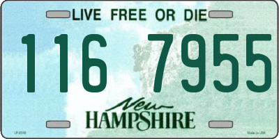 NH license plate 1167955