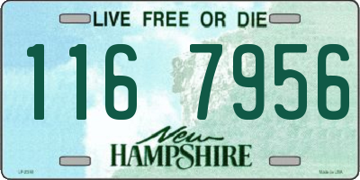NH license plate 1167956
