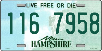 NH license plate 1167958
