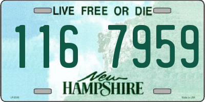 NH license plate 1167959