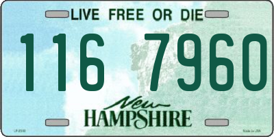 NH license plate 1167960