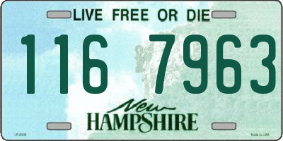 NH license plate 1167963