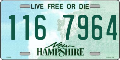 NH license plate 1167964