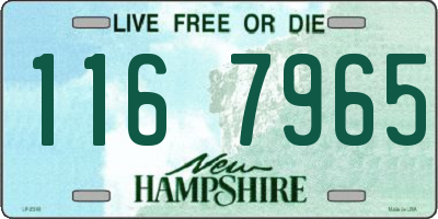 NH license plate 1167965
