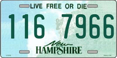 NH license plate 1167966