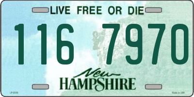 NH license plate 1167970