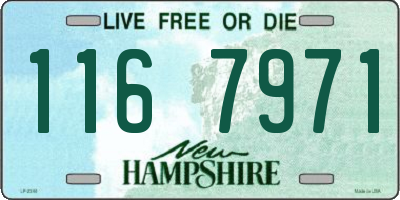 NH license plate 1167971