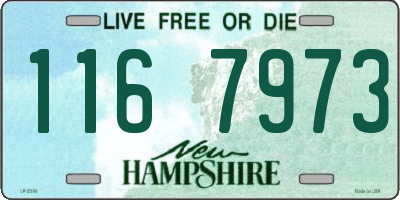 NH license plate 1167973